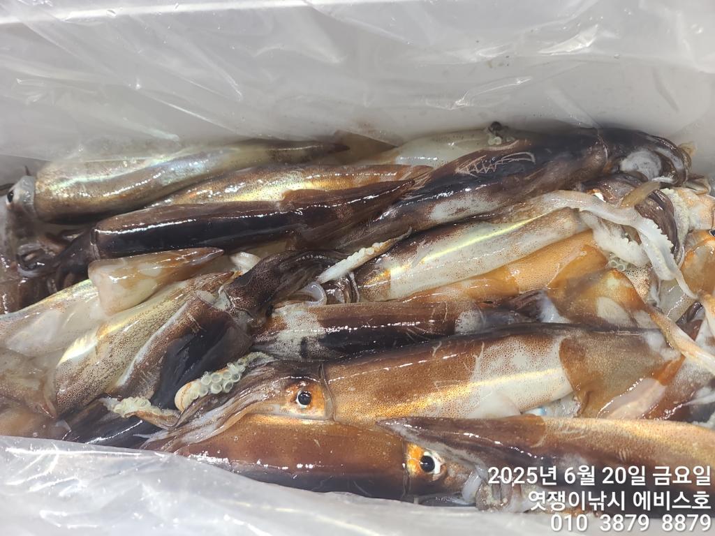 F270401014.jpg