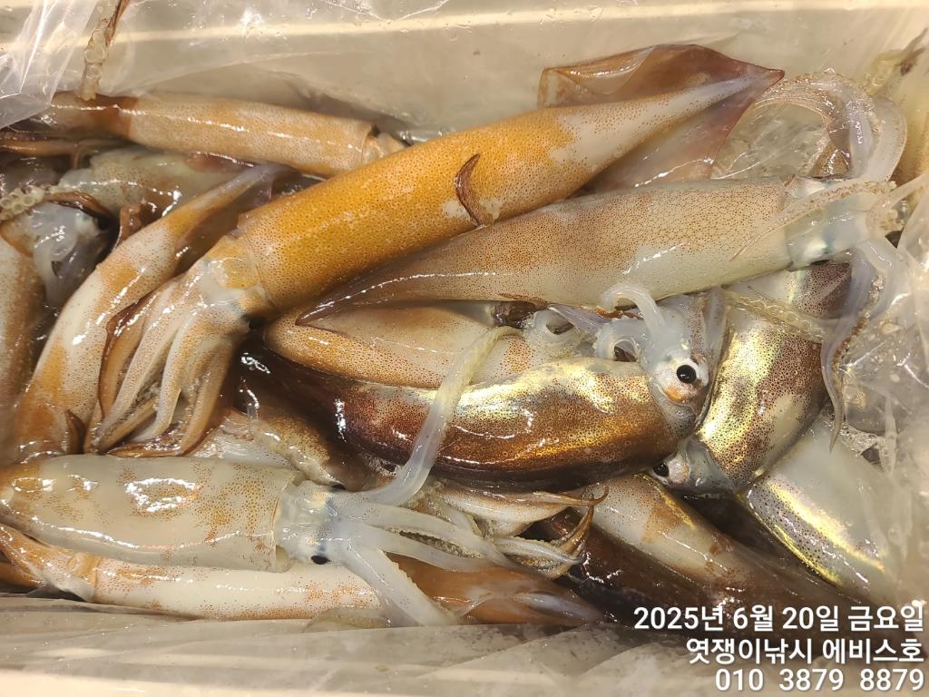 F2704011LR.jpg