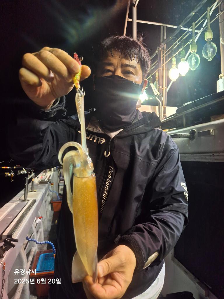 F2704388P1.jpg