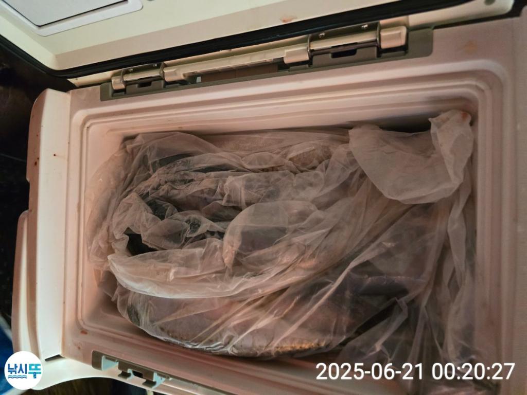F2704564CA.jpg
