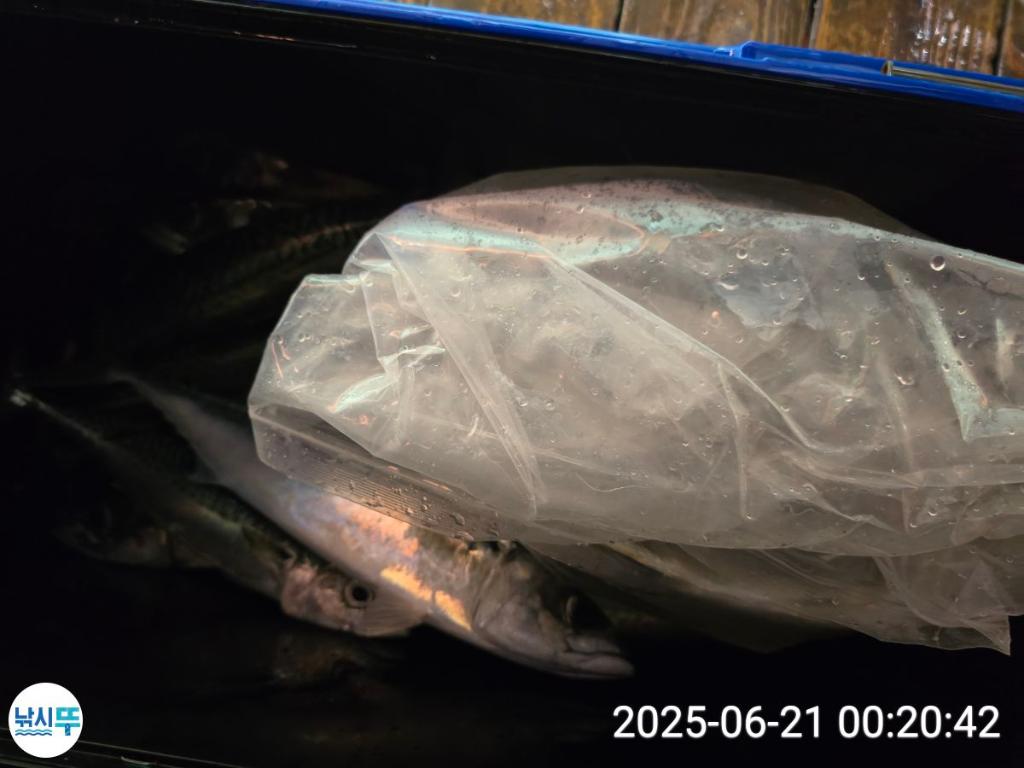 F2704566QW.jpg