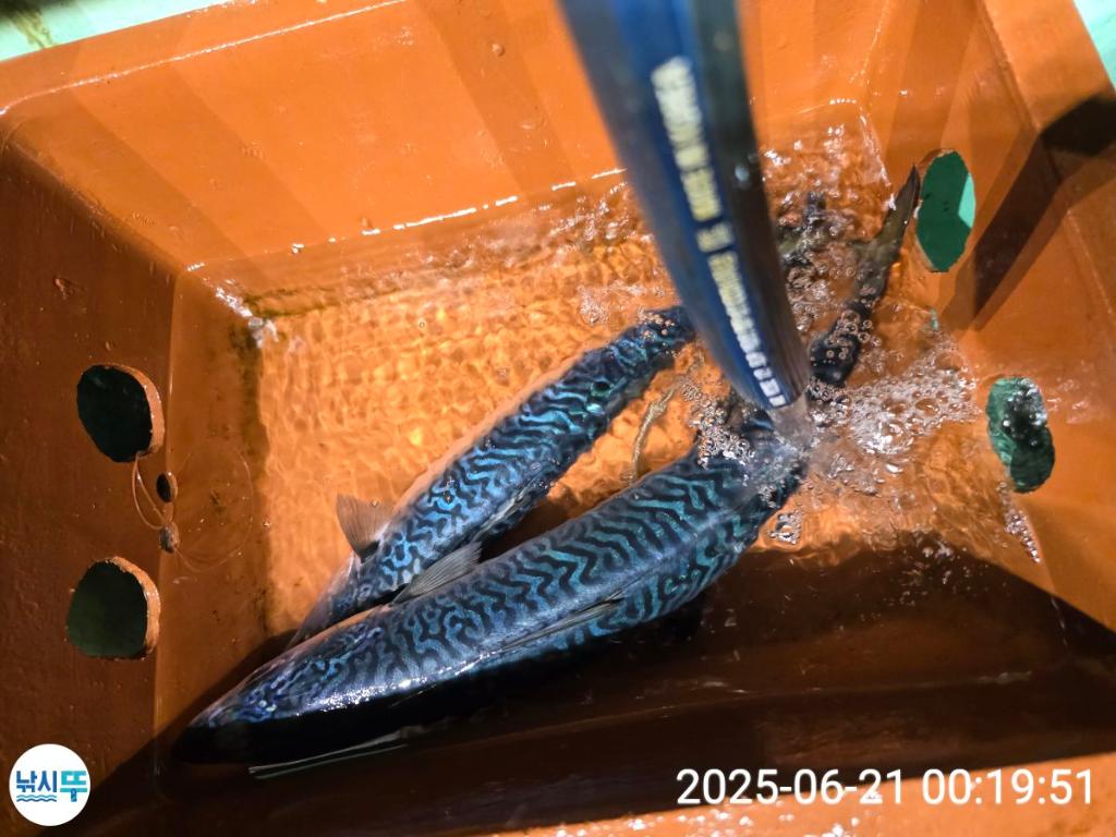 F27045703V.jpg