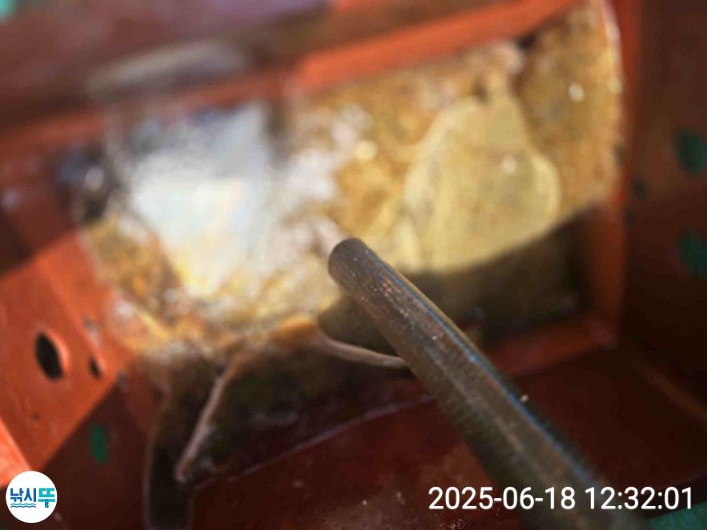 F27046656L.jpg