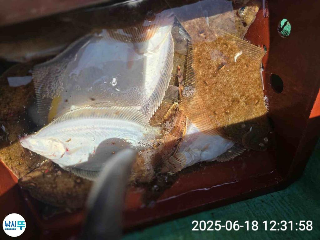 F270466773.jpg