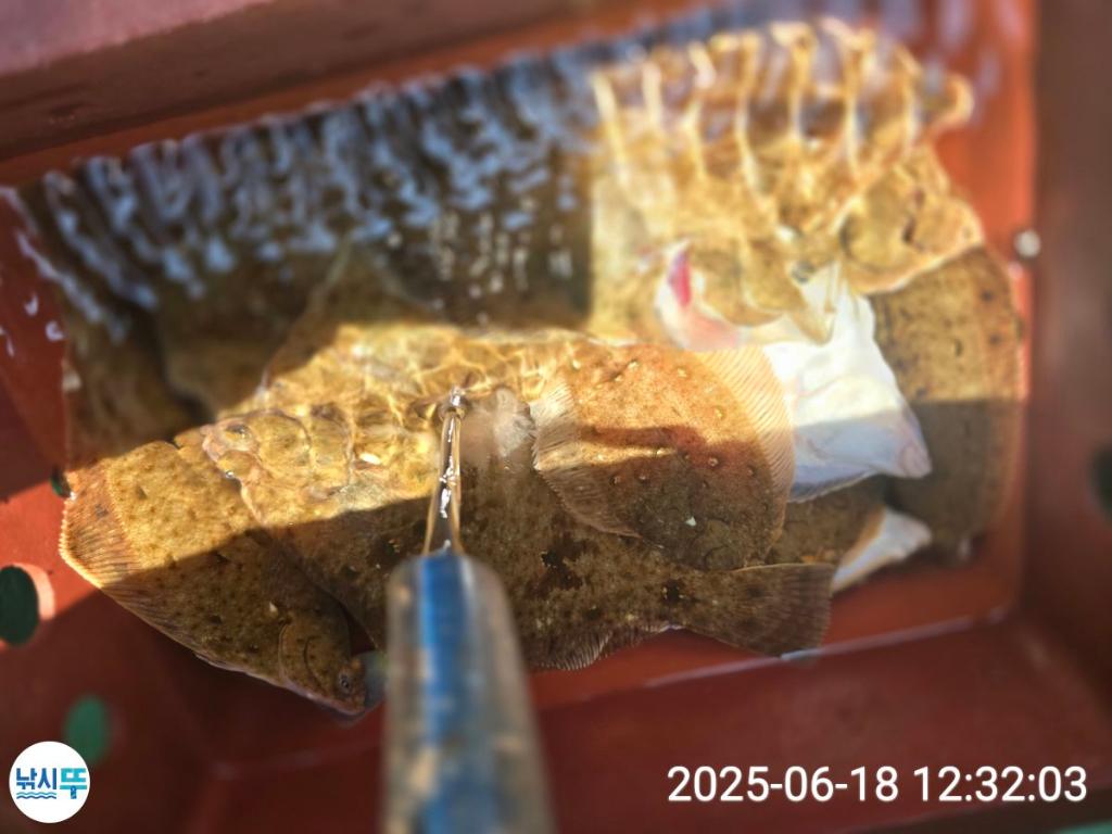 F2704670B3.jpg
