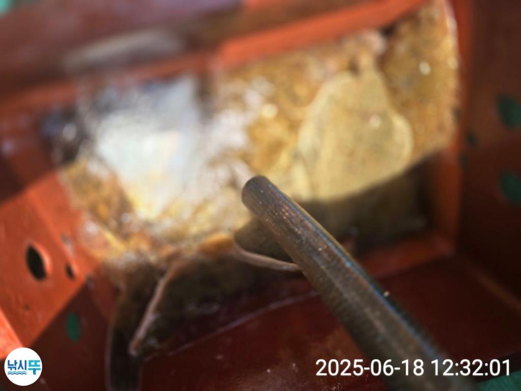 F2704673AK.jpg