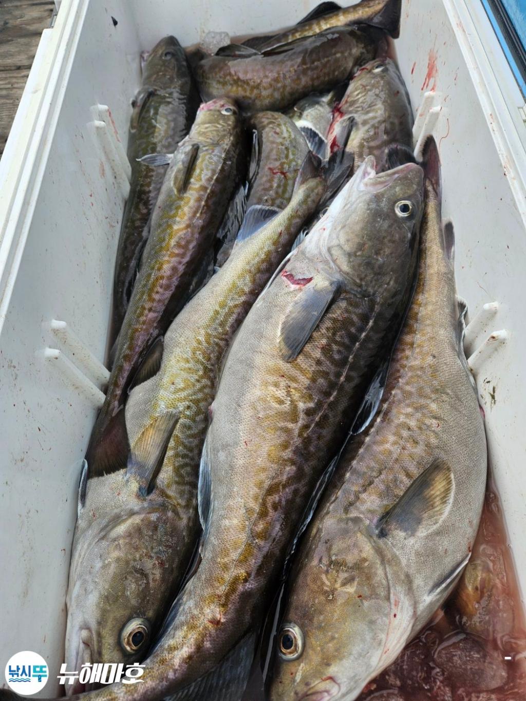 F2704772IN.jpg