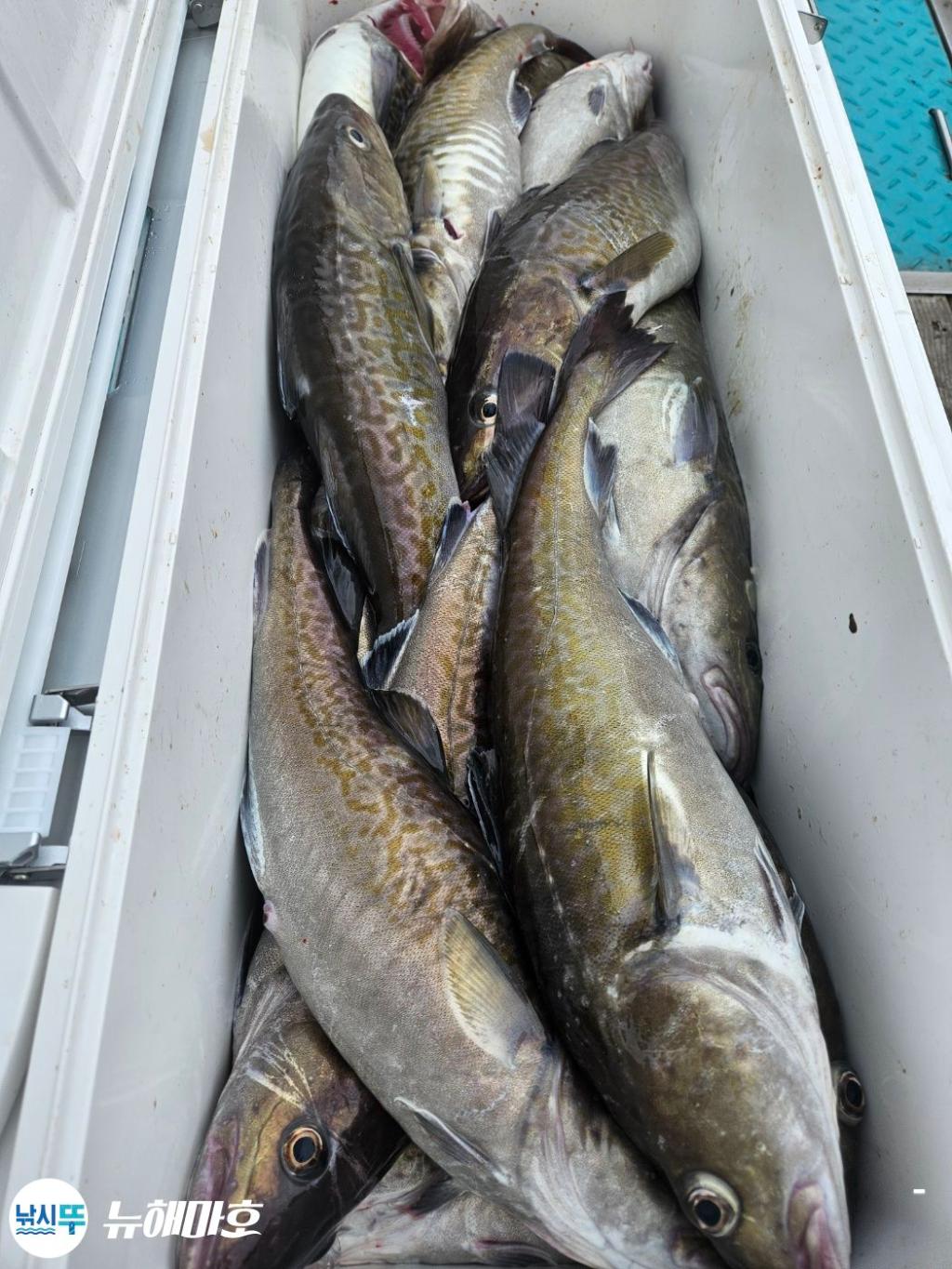 F27047765T.jpg