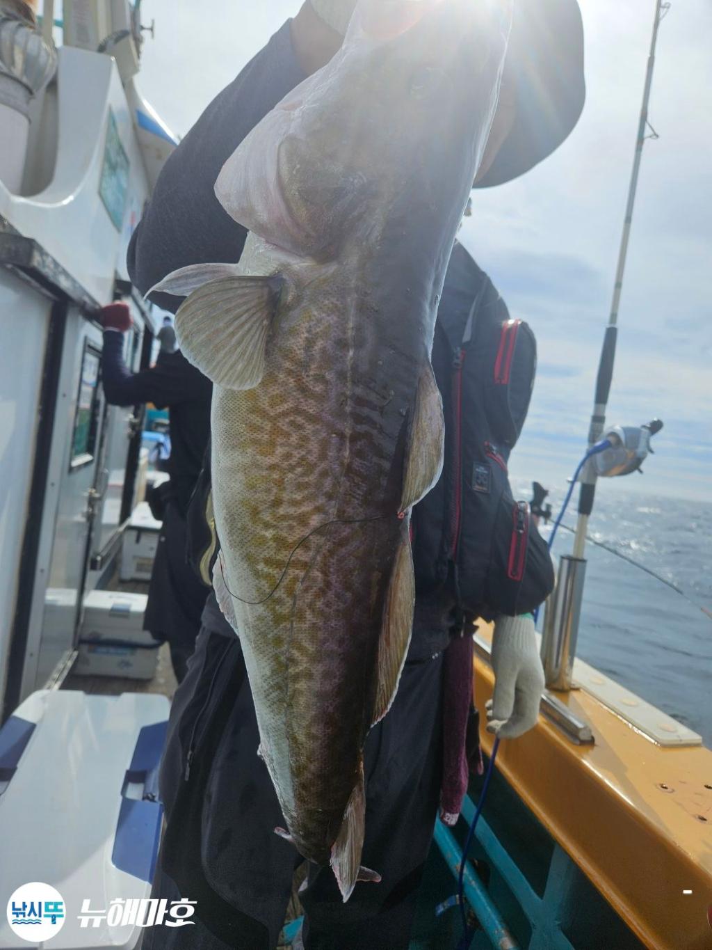 F270479834.jpg