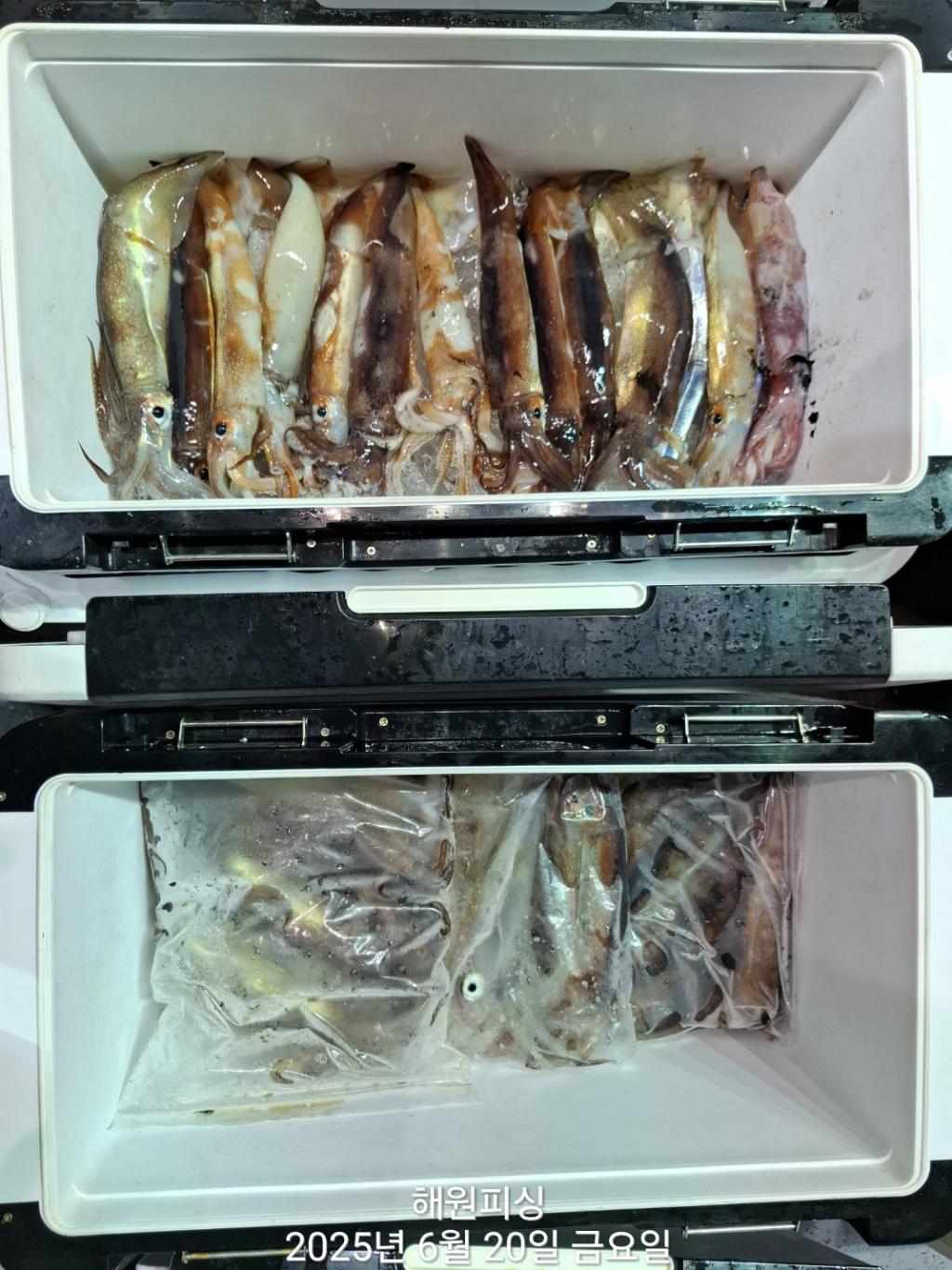 F2704948W3.jpg