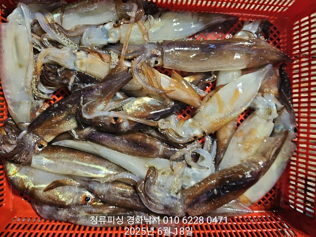F2705139LJ.jpg