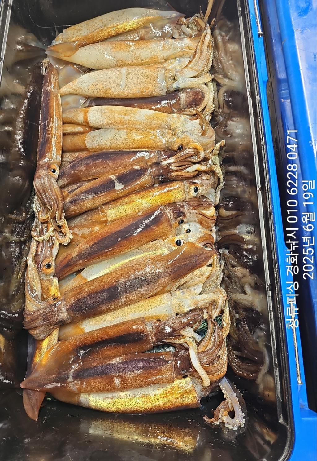 F27051464V.jpg