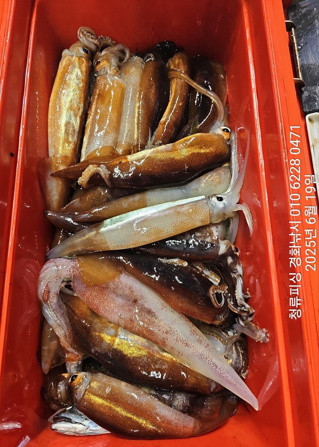 F2705147C4.jpg