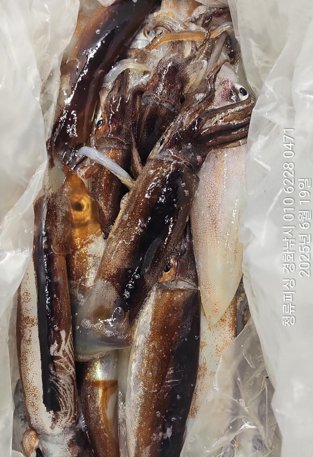 F2705150DK.jpg