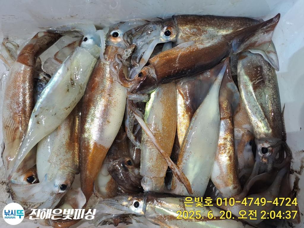 F2705180RZ.jpg