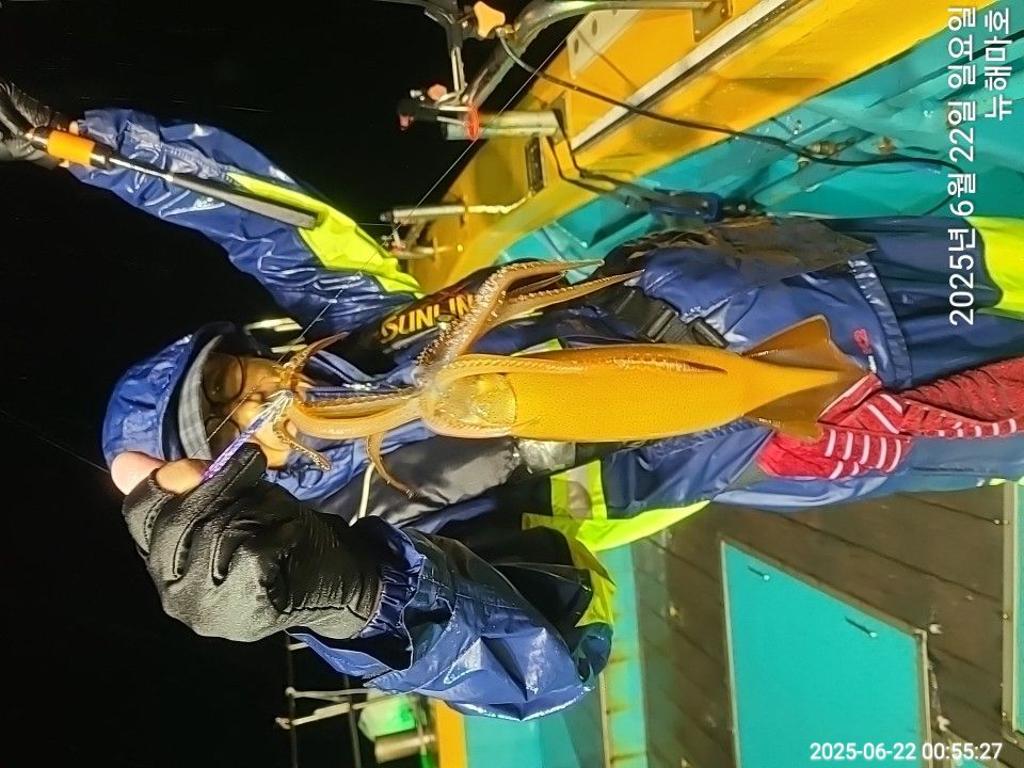 F2705410AR.jpg