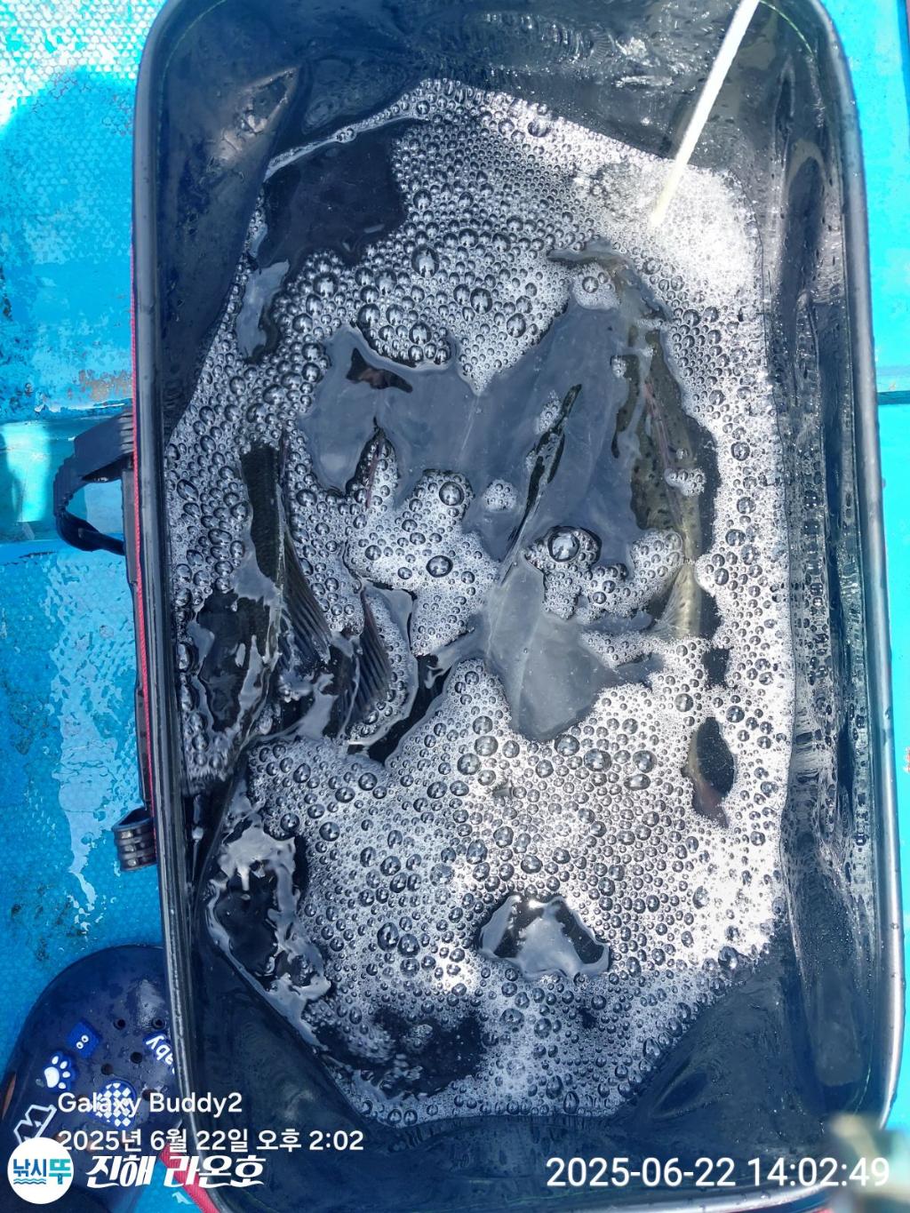 F270579319.jpg