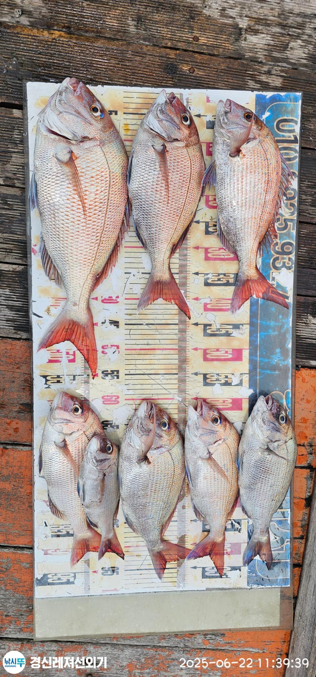 F2705847BU.jpg