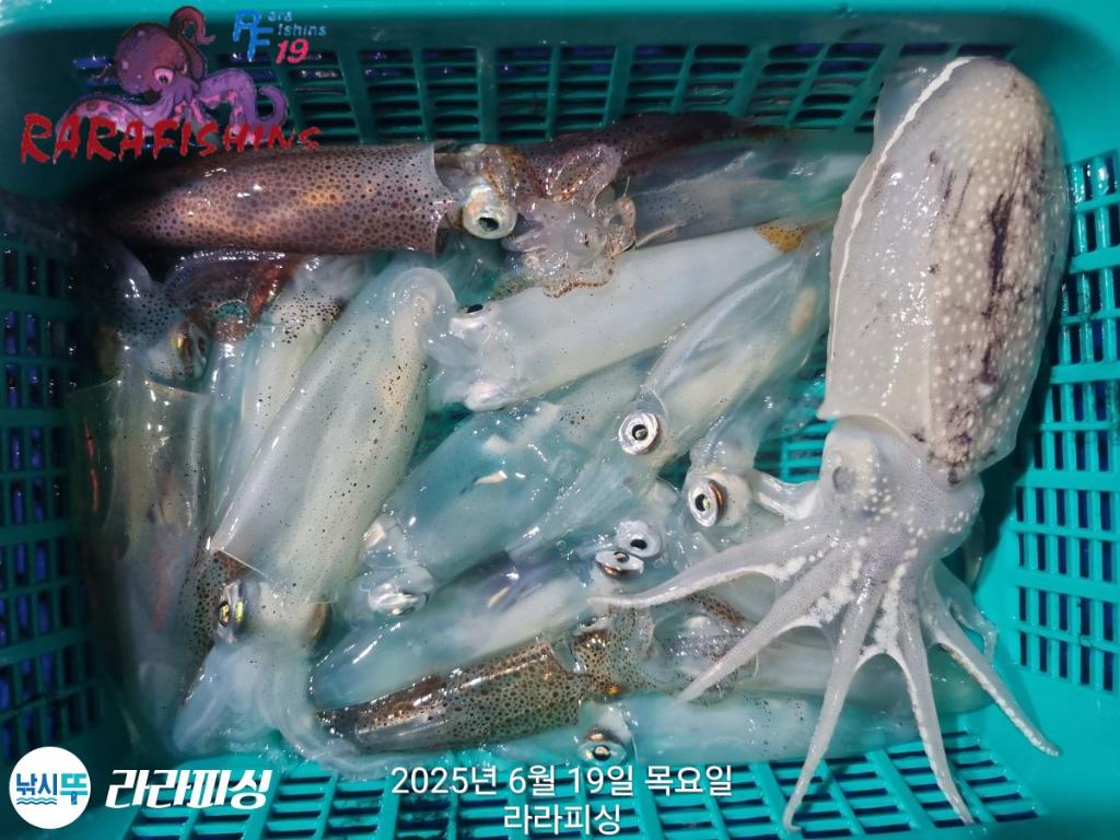 F2705879VP.jpg