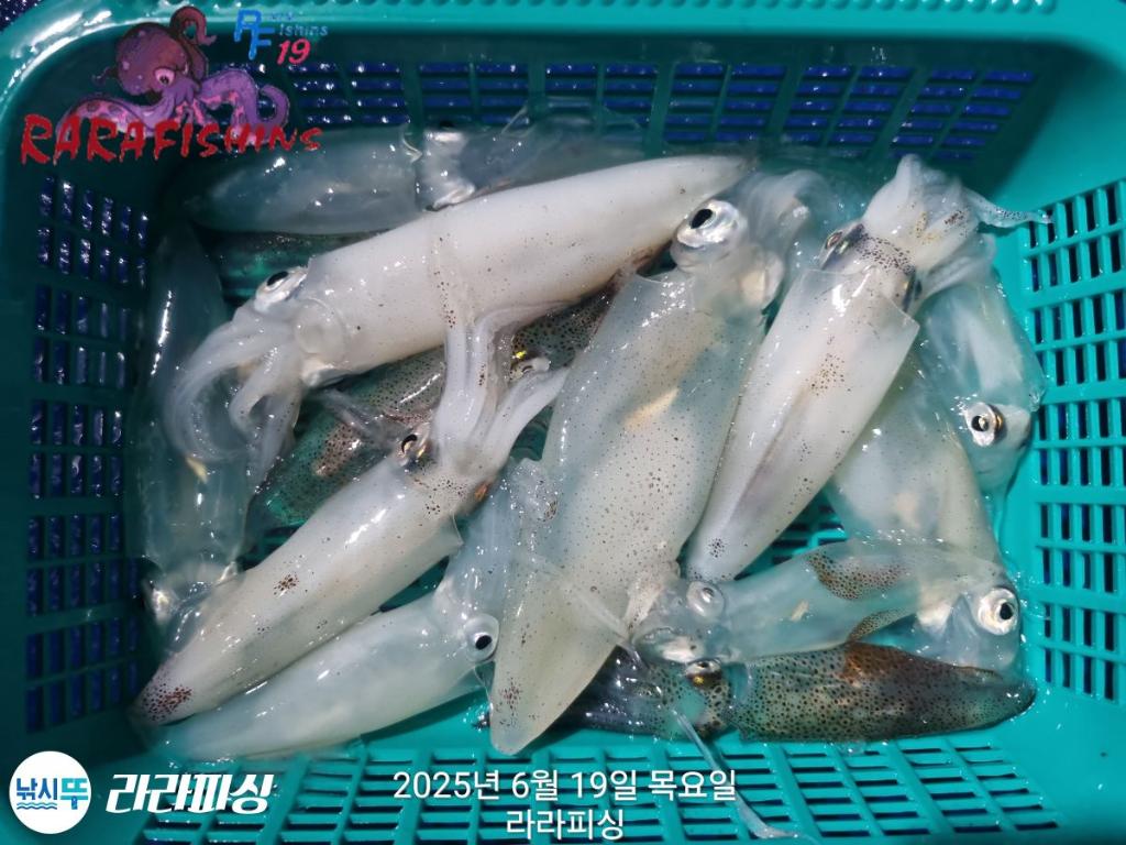 F27058816H.jpg