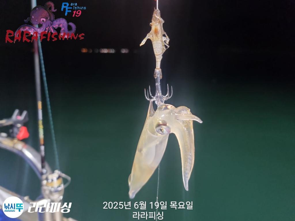 F2705882VK.jpg