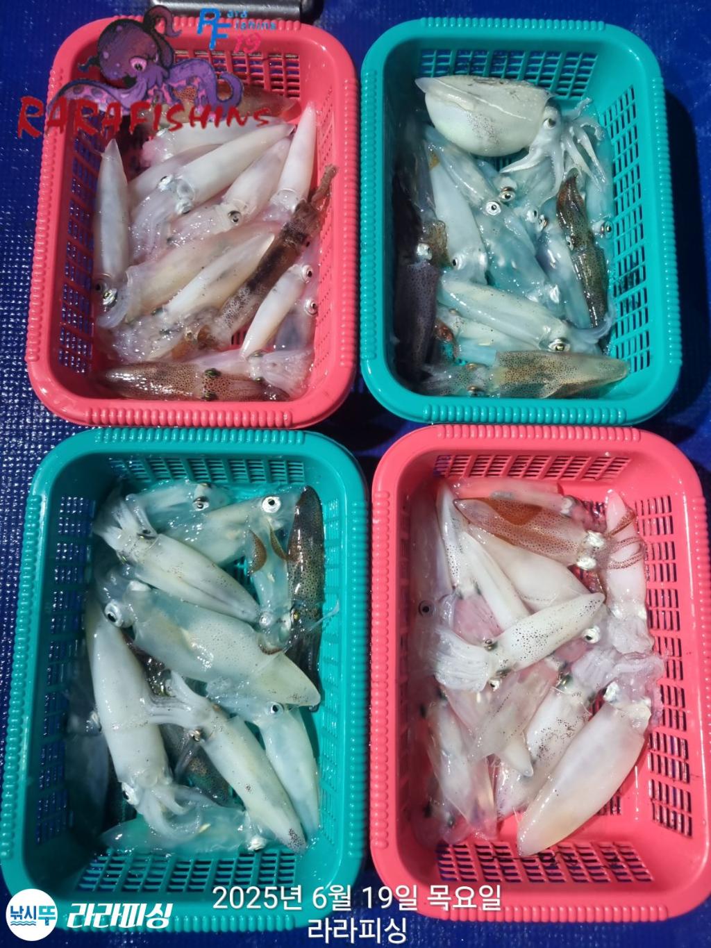 F27058924Z.jpg