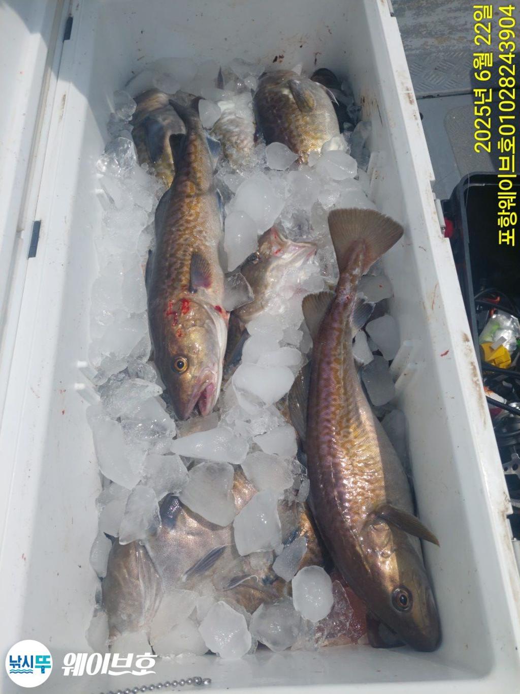 F2706043ED.jpg