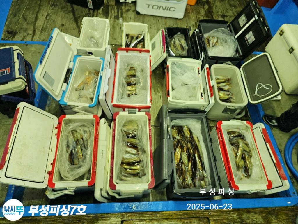 F2706192NK.jpg