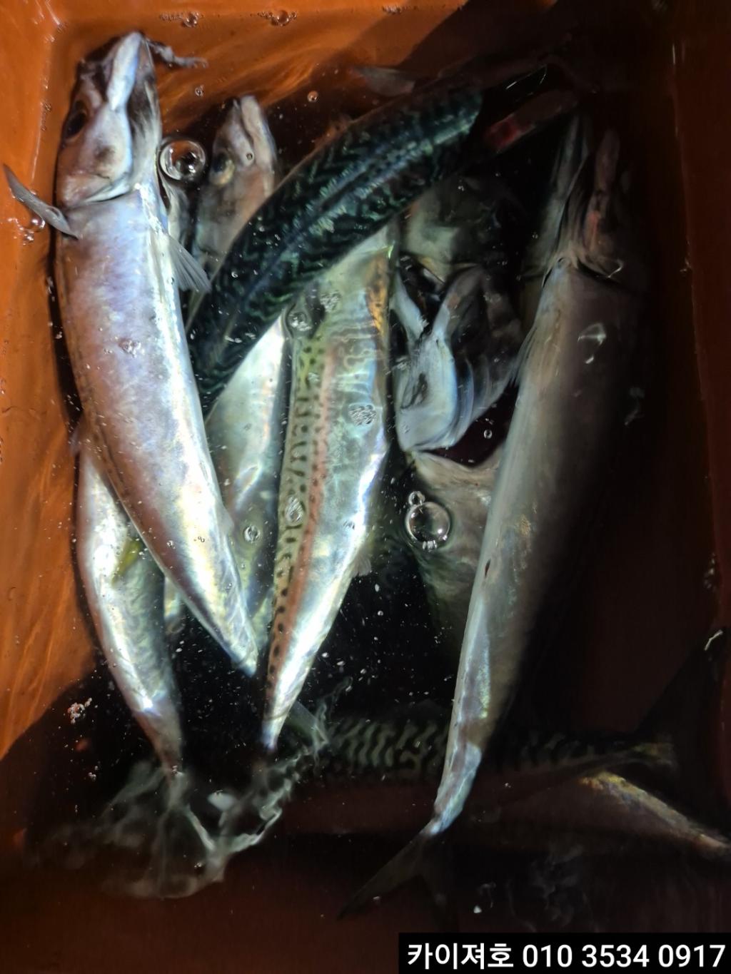 F2706224PM.jpg