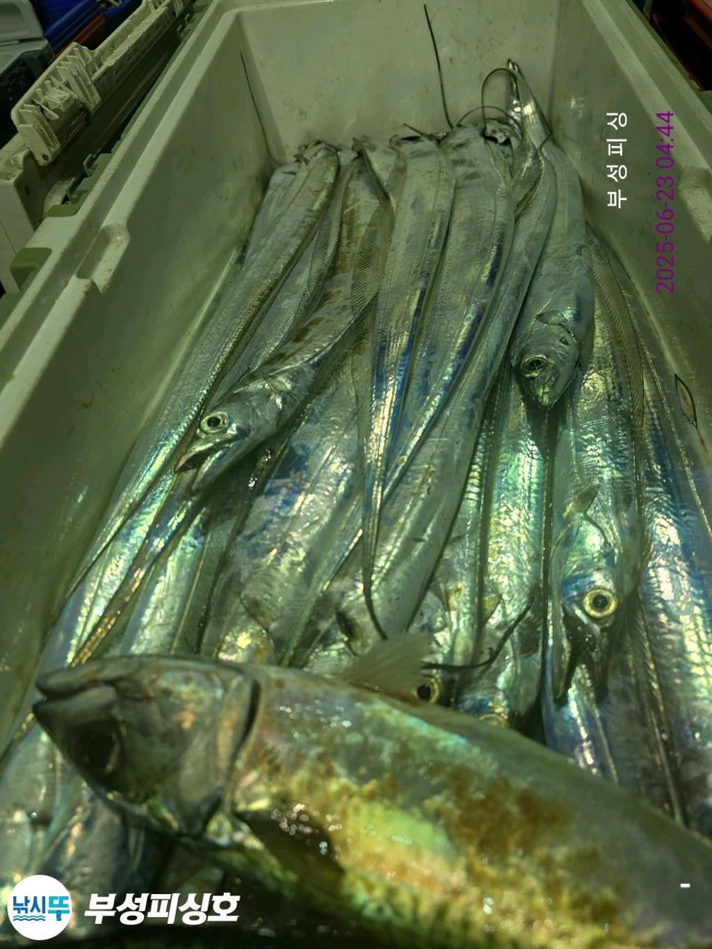 F270623358.jpg