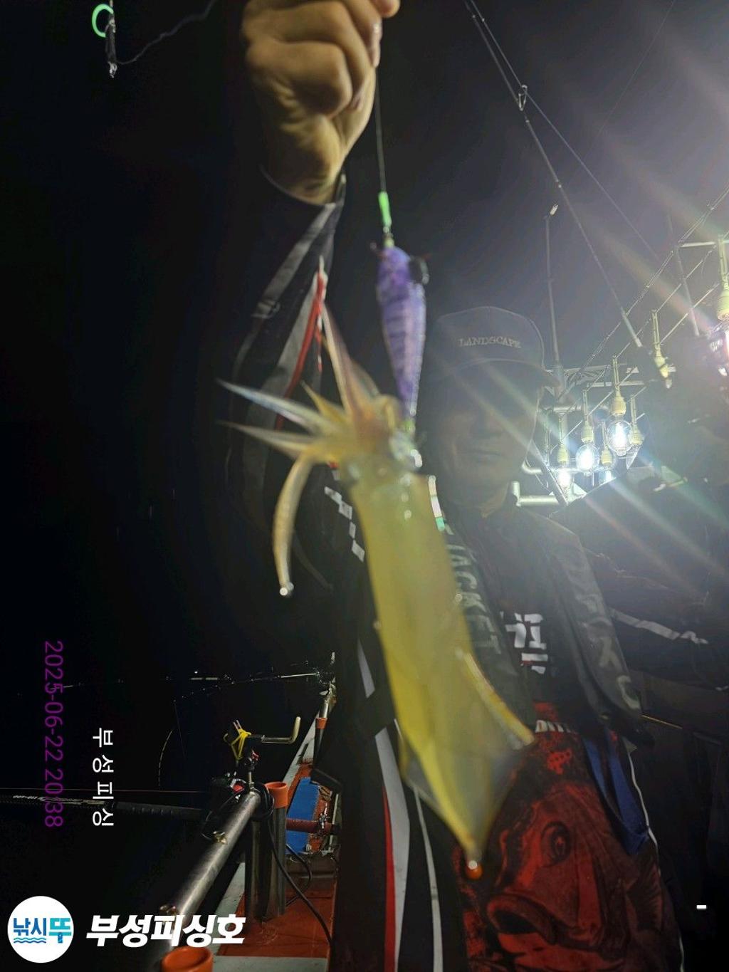 F2706248AF.jpg