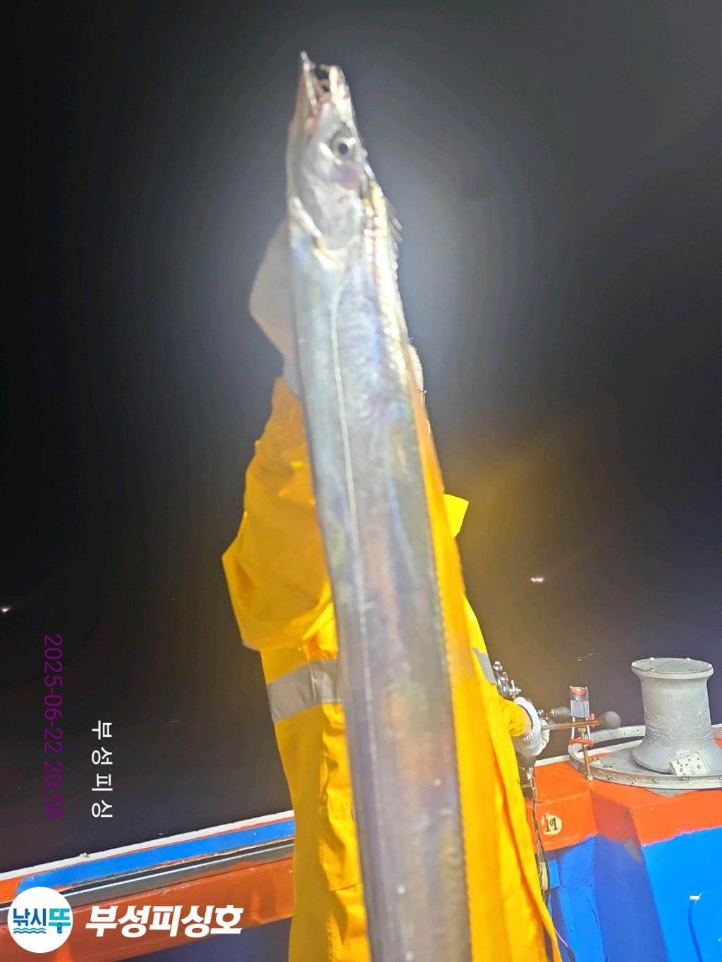 F2706255YX.jpg