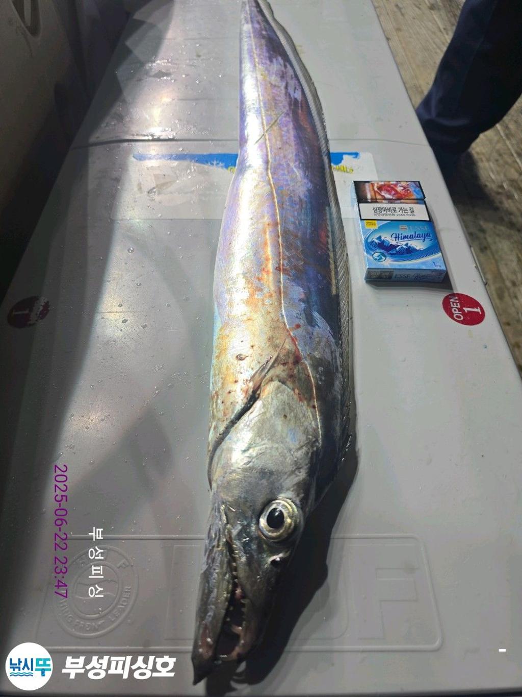 F2706263XT.jpg