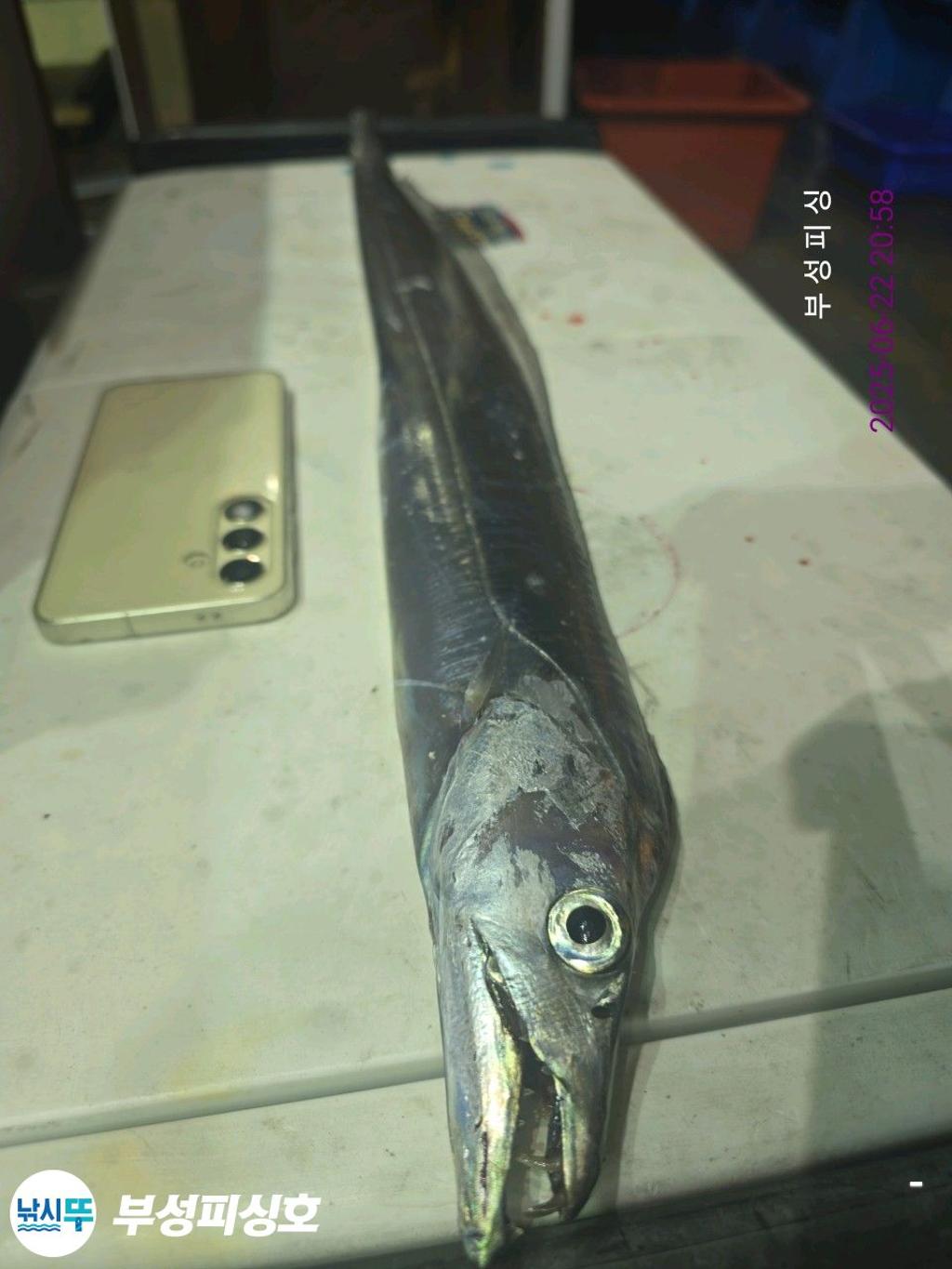 F2706264YH.jpg
