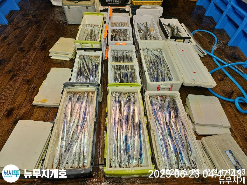 F2706270OZ.jpg