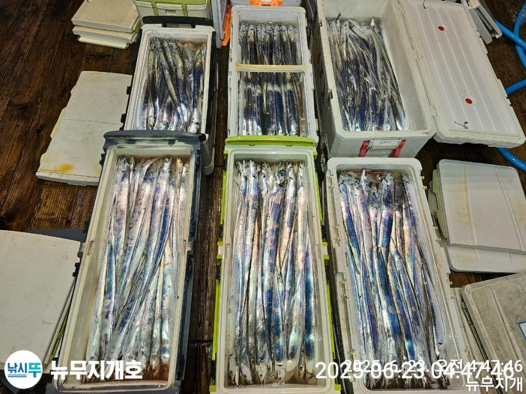 F270627220.jpg