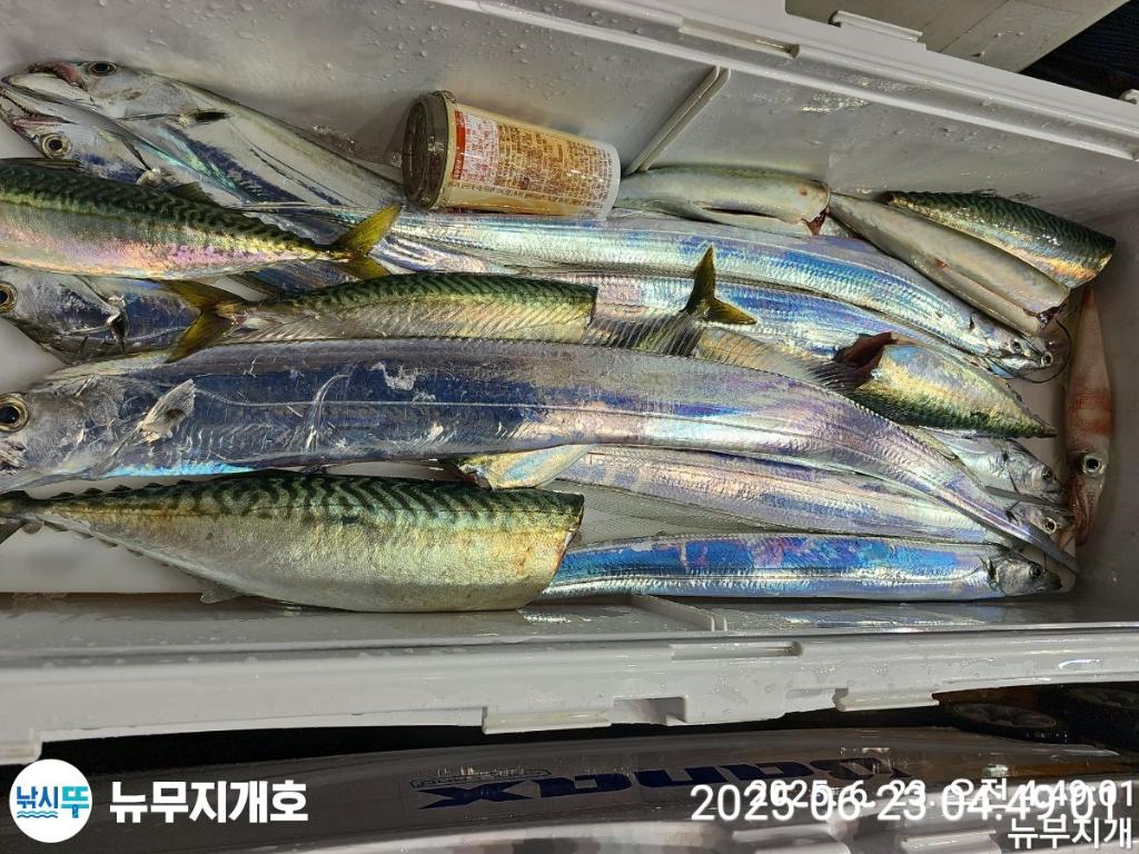 F2706274WX.jpg