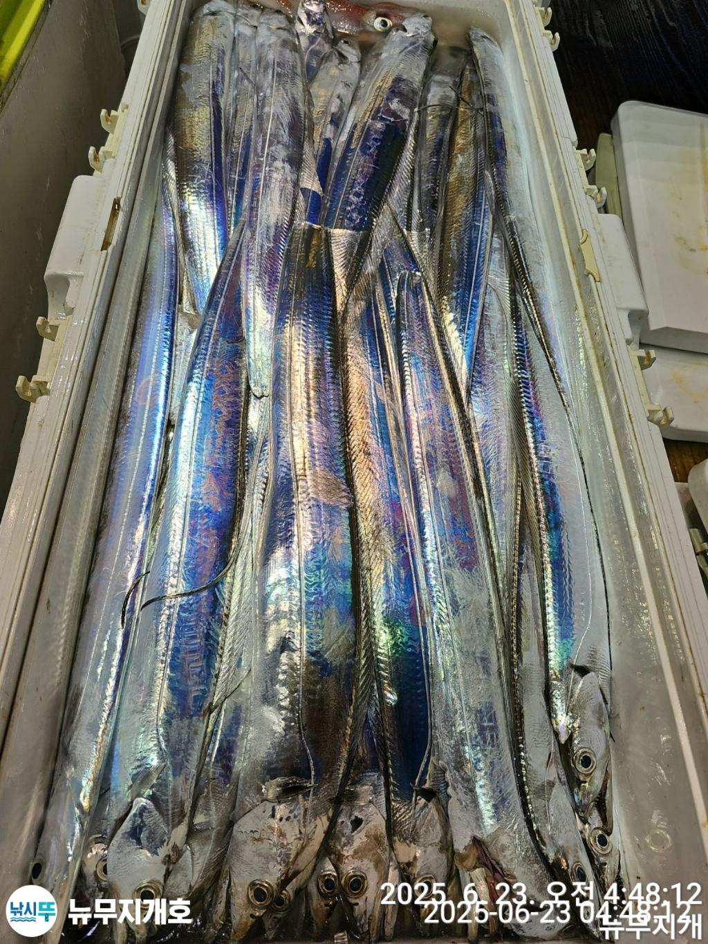 F2706275TS.jpg