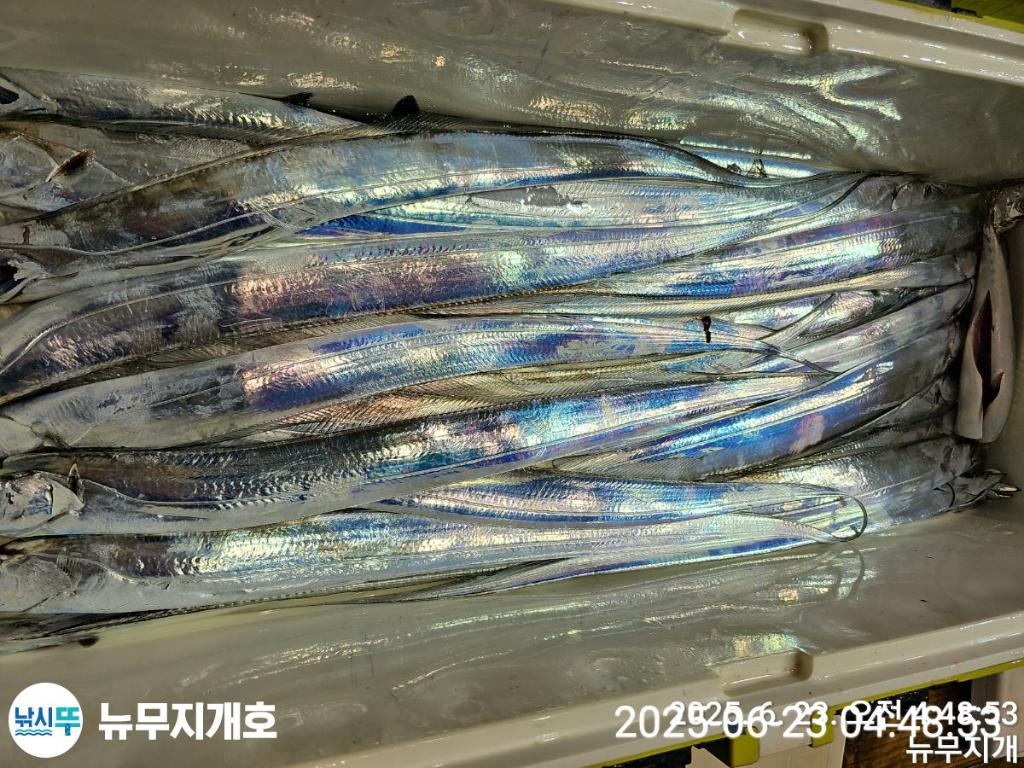 F2706276NQ.jpg