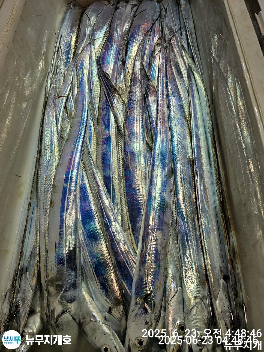 F2706277AA.jpg