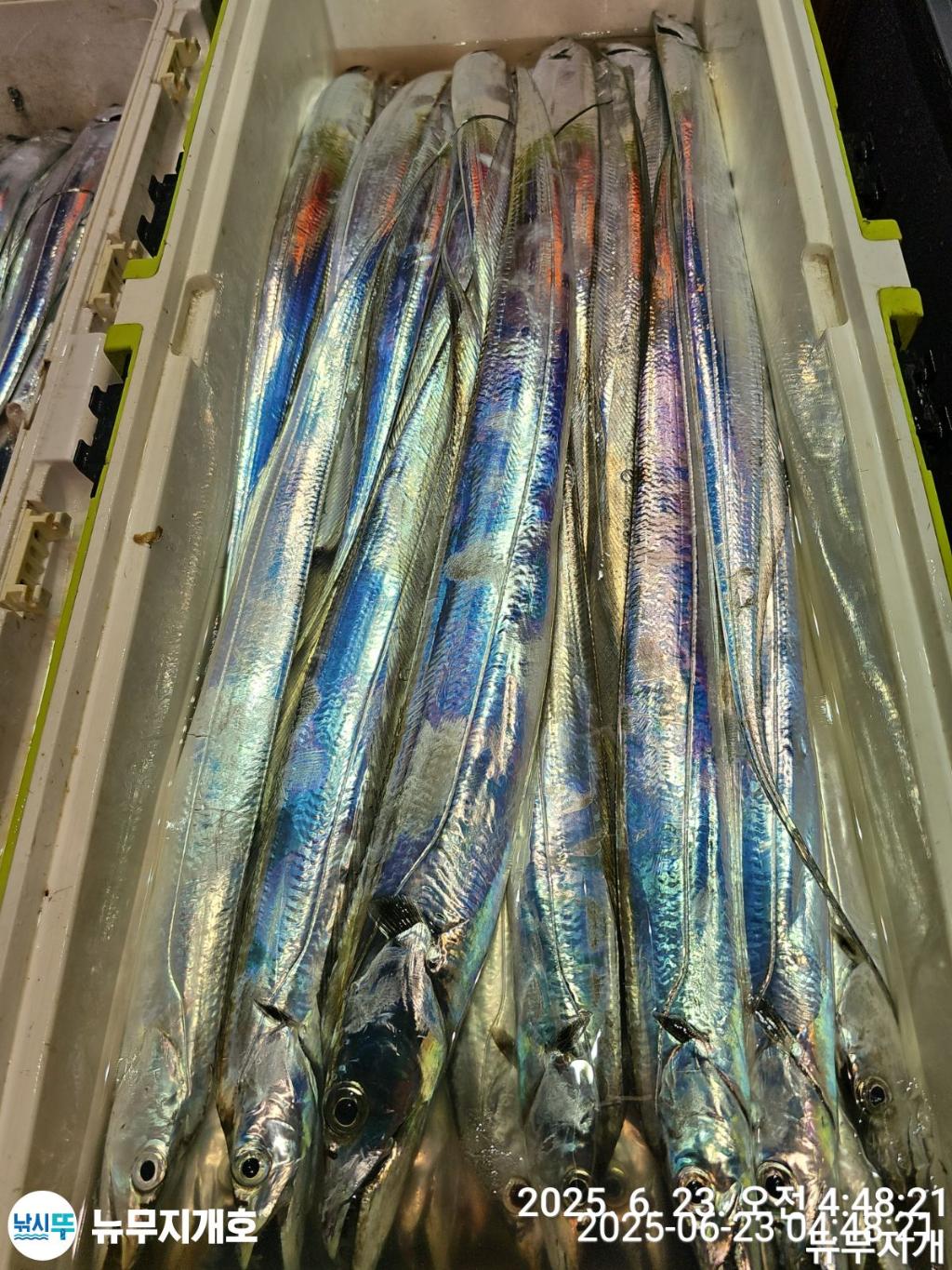 F2706280PA.jpg
