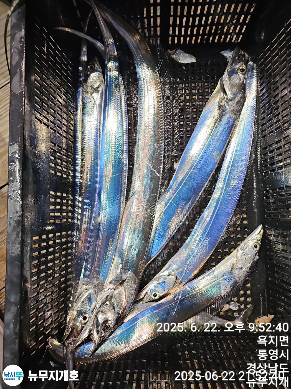 F27062829J.jpg