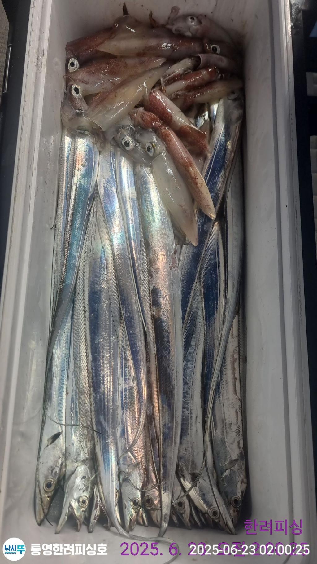 F27062888J.jpg