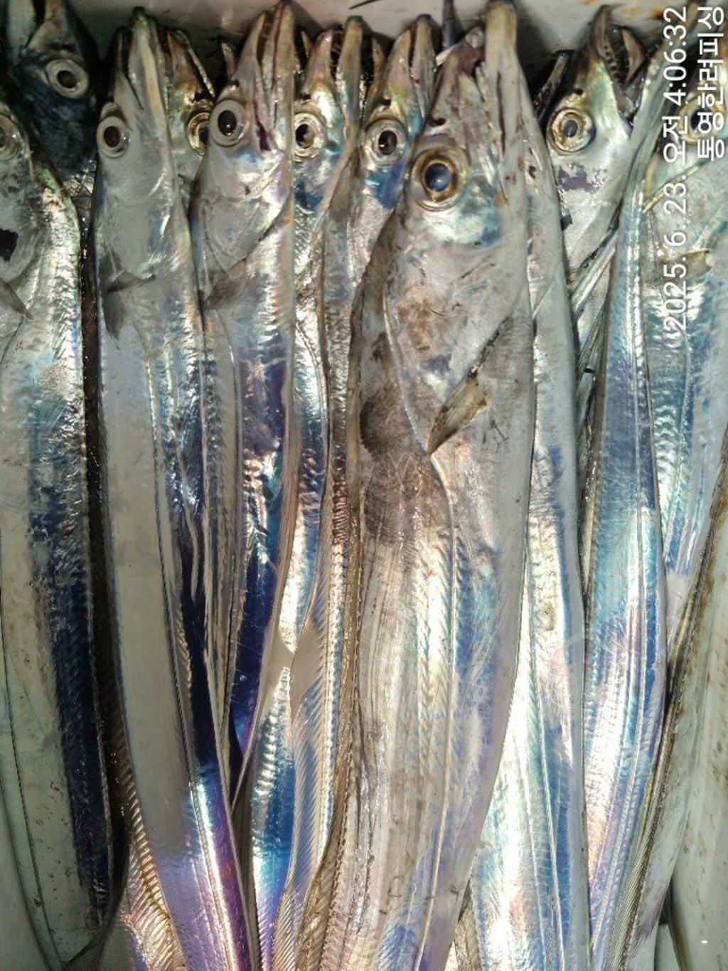 F2706290OS.jpg
