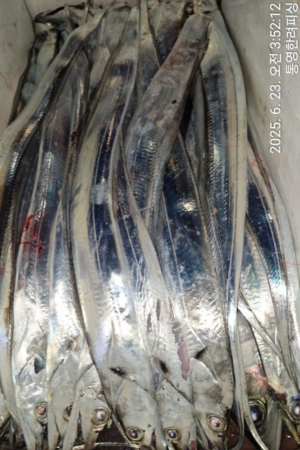 F2706292P9.jpg
