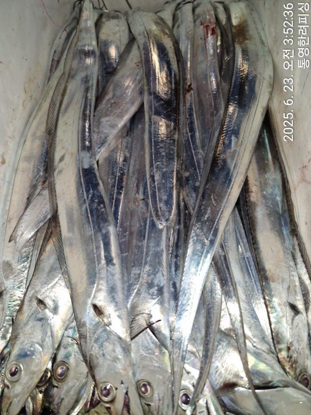 F2706293HX.jpg