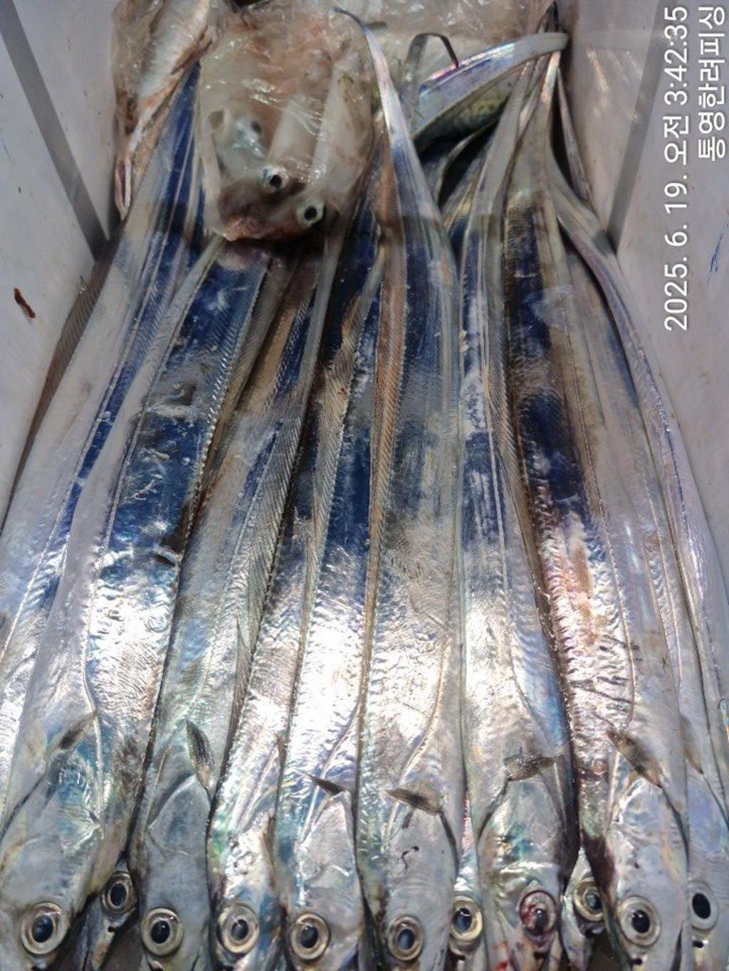 F27062967Y.jpg