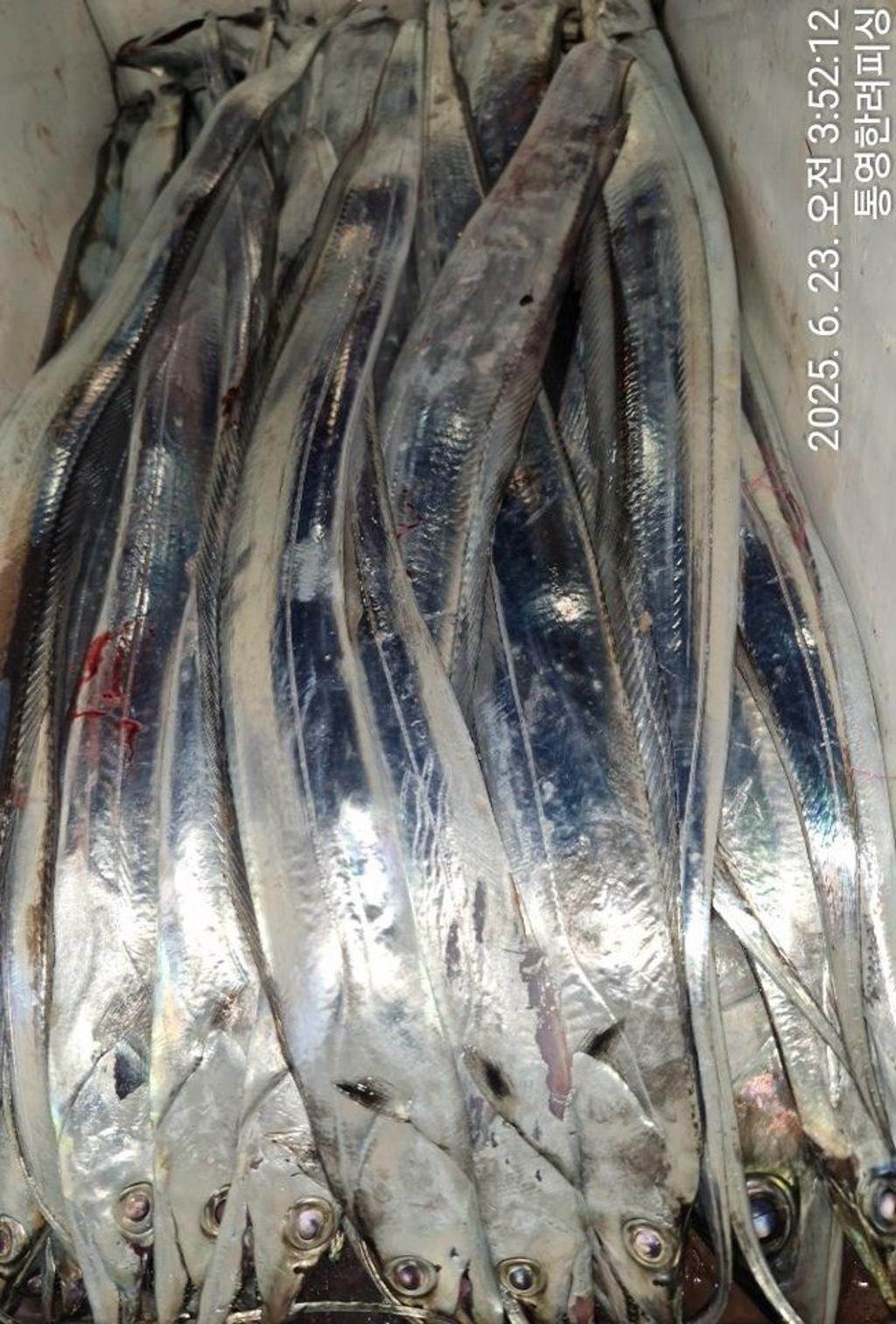 F2706297JB.jpg