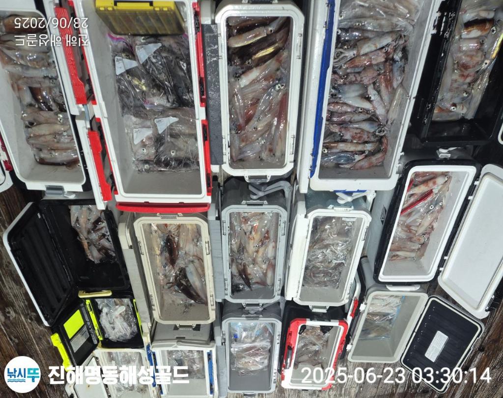F2706445BC.jpg