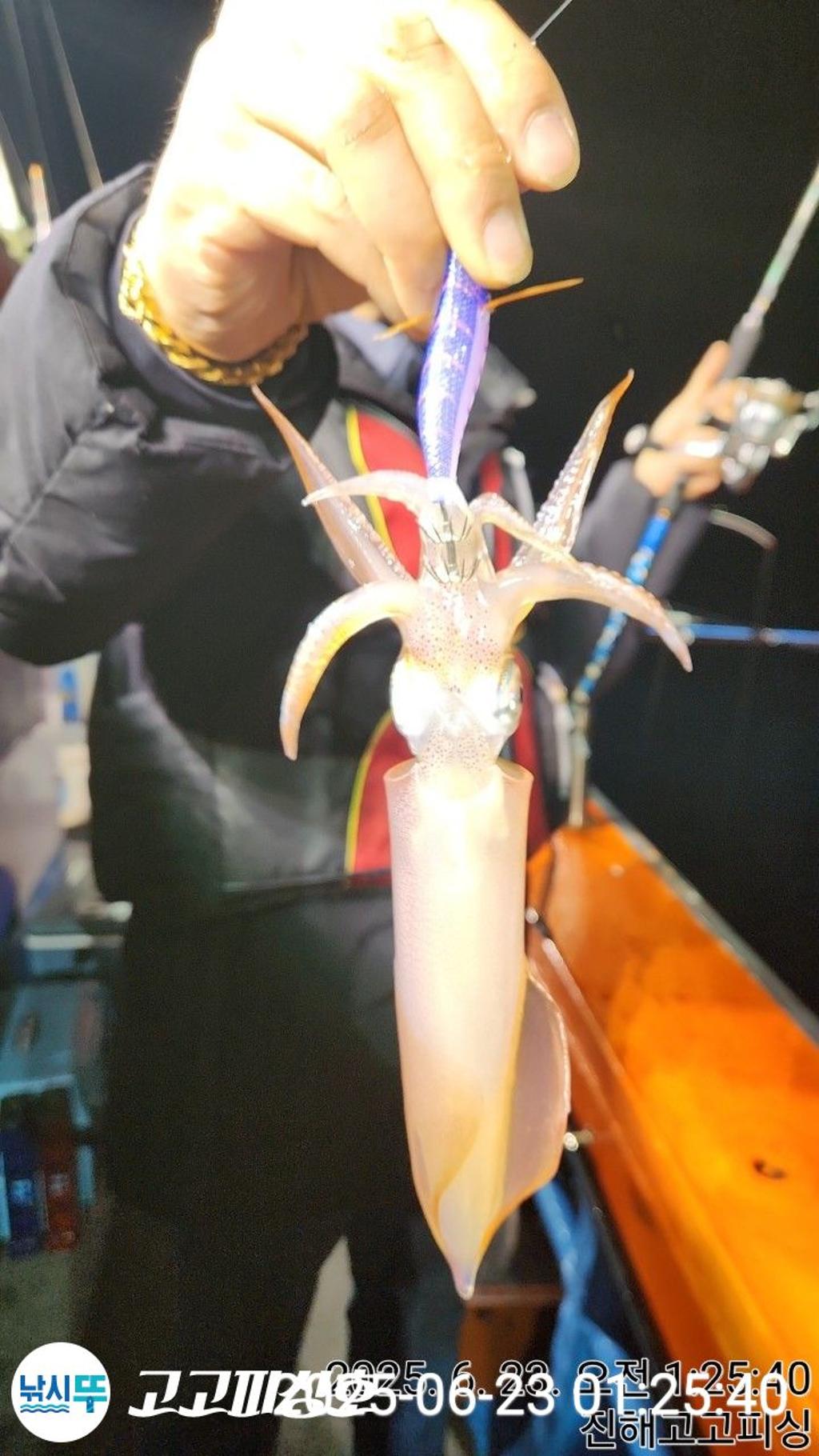 F27064749G.jpg